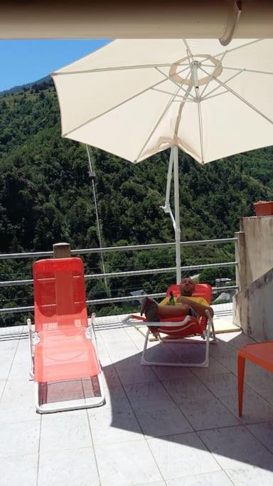 Paisible Maison Dans Les Pyrenees Fontpédrouse エクステリア 写真